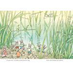 Familia soricel si lacul libelulelor - Kazuo Iwamura fotografia produsului View 3 S