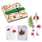 Set DIY, Botanist in devenire Djeco fotografia produsului View 2 S