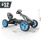 Kart BERG Rally APX Blue NEW fotografia produsului View 2 S
