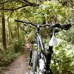 Lampa pentru bicicleta, forma amuzanta, rosu, Gonga&reg; Alb fotografia produsului View 5 S