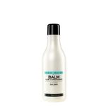 BASIC SALON - Balsam revitalizant cu aloe, 1000ml fotografia produsului