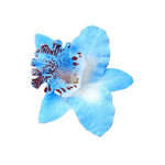 Floricica pentru copii THK de pus in par, albastra fotografia produsului