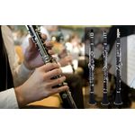 Clarinet IdeallStore®, Musical Virtue, 17 clape, 67 cm, negru, geanta inclusa fotografia produsului View 18 S