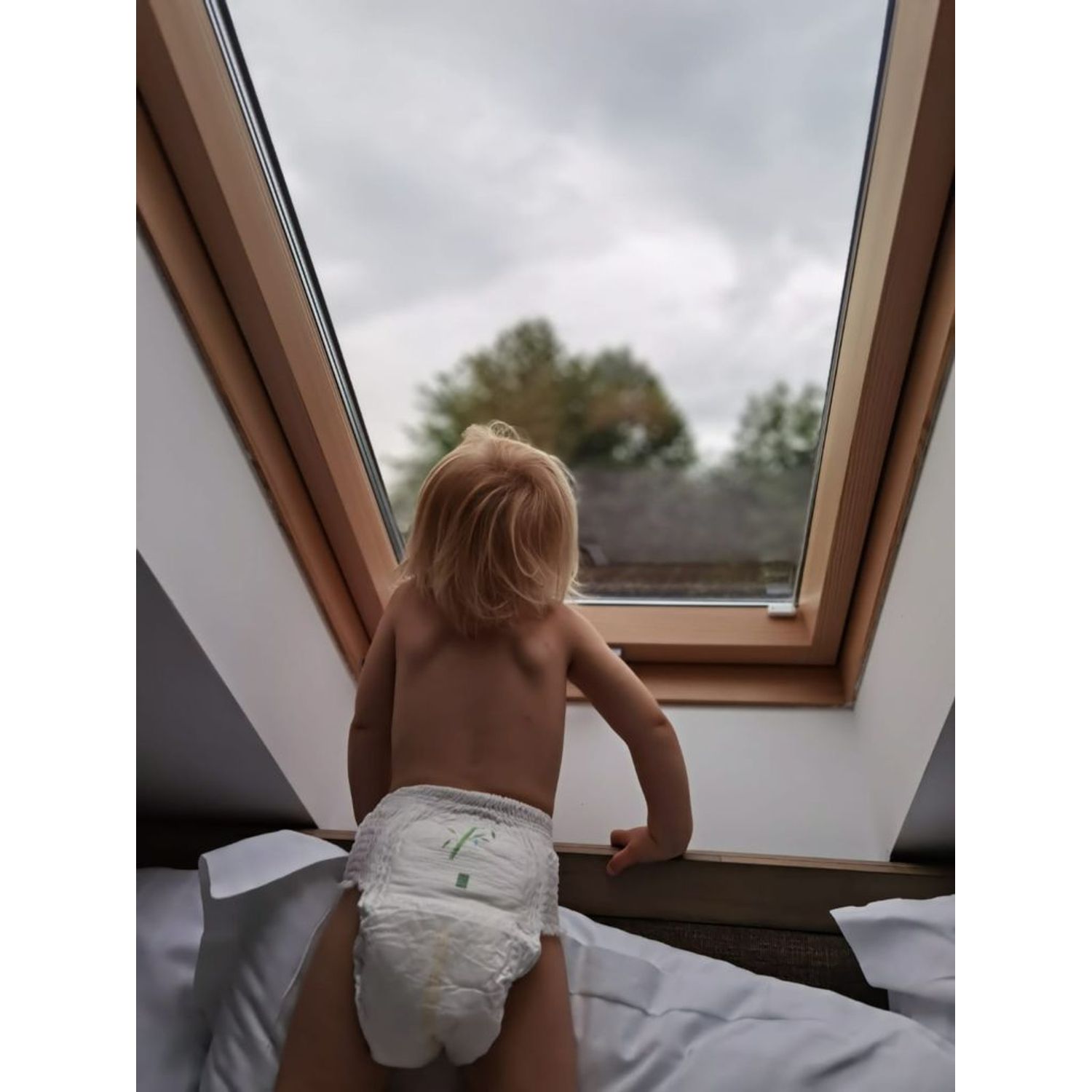 Scutece chilotel Zuluff cu bambus Marimea 3, 6-11 kg fotografia produsului View 3 L