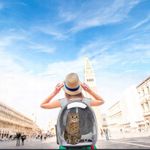 Rucsac transport animale de companie, tip panoramic, Gonga&reg; Gri fotografia produsului View 4 S