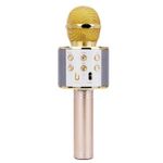 Microfon karaoke, wireless, boxa incorporata, egalizator, reincarcabil, Rotosonic Auriu fotografia produsului