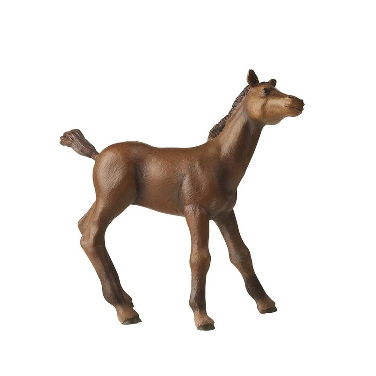 PAPO-English thoroughbred foal fotografia produsului