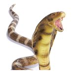 Figurina-Regele Cobra 88x18x27.5cm fotografia produsului