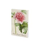 Carnet notite A7 Redout, Roos,Teylers fotografia produsului
