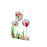 Carnet notite A7 Tulipa 'Teyler', Anita fotografia produsului