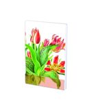Carnet notite A7 Tulipa 'Plaisir' Anita fotografia produsului