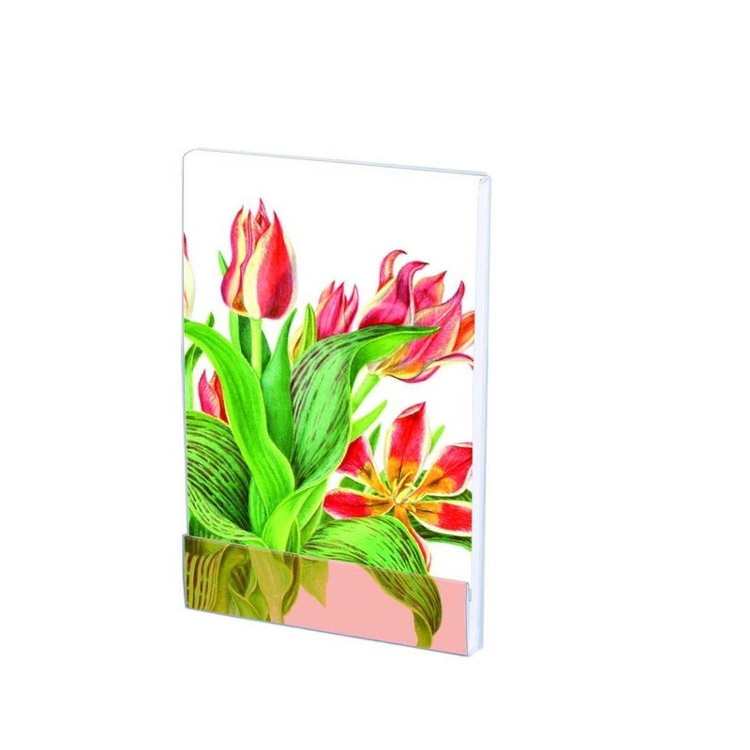 Carnet notite A7 Tulipa 'Plaisir' Anita fotografia produsului