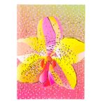Agenda  A5 embosata OMG Orchid fotografia produsului