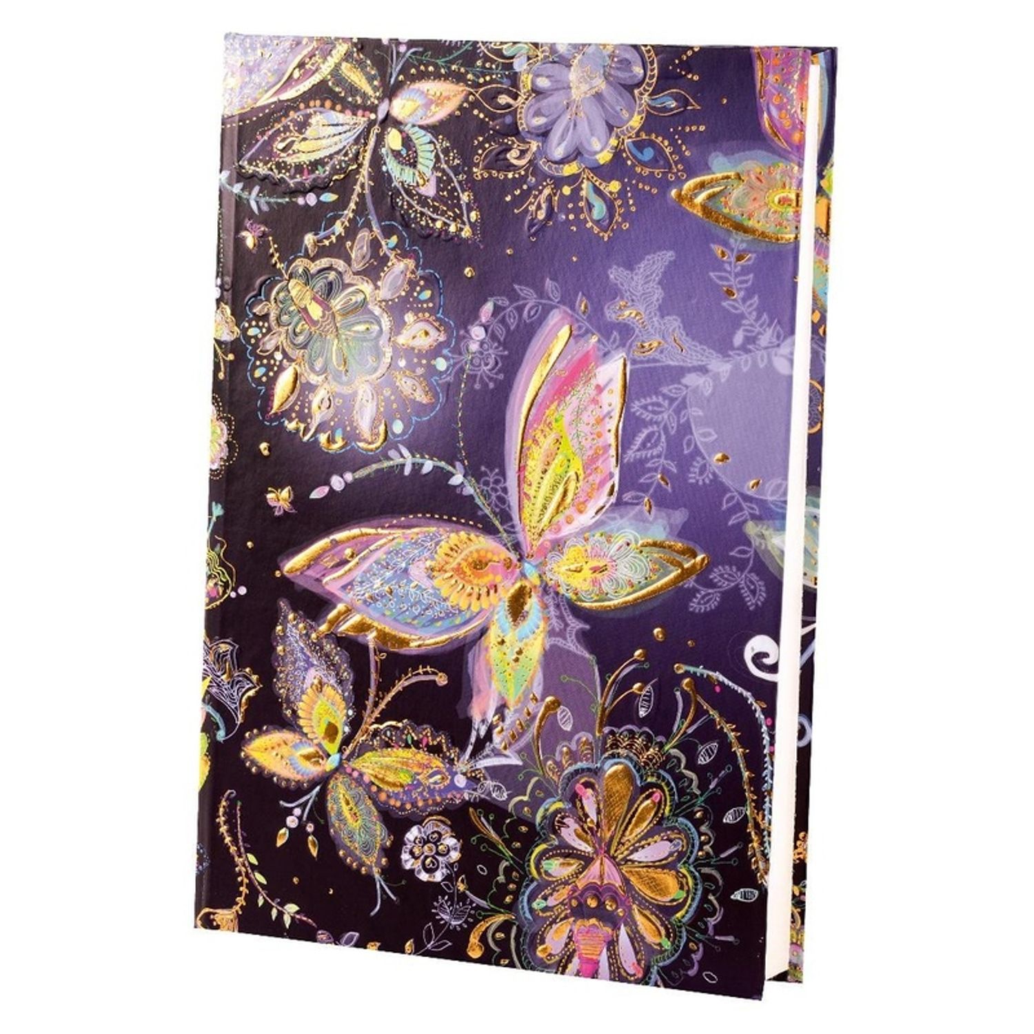 Agenda Goldbuch A5 cu efect special Luna de argint bleumarin fotografia produsului