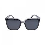 Ochelari de soare pentru barbat  PAMI, OB-1221-34 Gri fotografia produsului