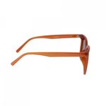 Ochelari de soare pentru barbat  PAMI, OB-1221-34 Maro fotografia produsului View 3 S