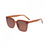 Ochelari de soare pentru barbat  PAMI, OB-1221-34 Maro fotografia produsului View 2 S