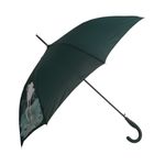 Umbrela lunga automata color changing  PAMI, U-S621-350, 60 cm, 8 spite Verde fotografia produsului