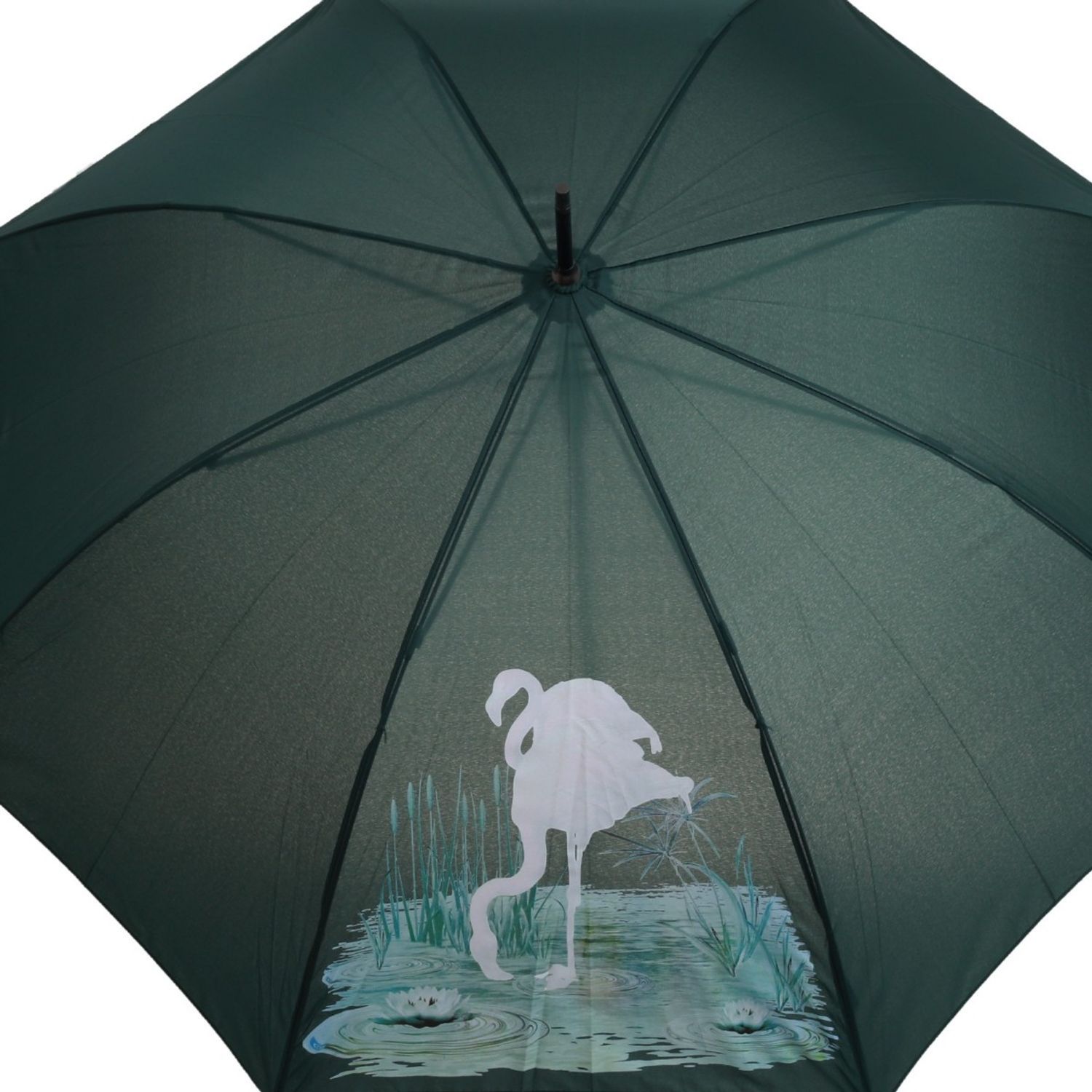 Umbrela lunga automata color changing  PAMI, U-S621-350, 60 cm, 8 spite Verde fotografia produsului View 3 L