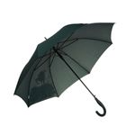 Umbrela lunga automata color changing  PAMI, U-S621-350, 60 cm, 8 spite Verde fotografia produsului View 5 S