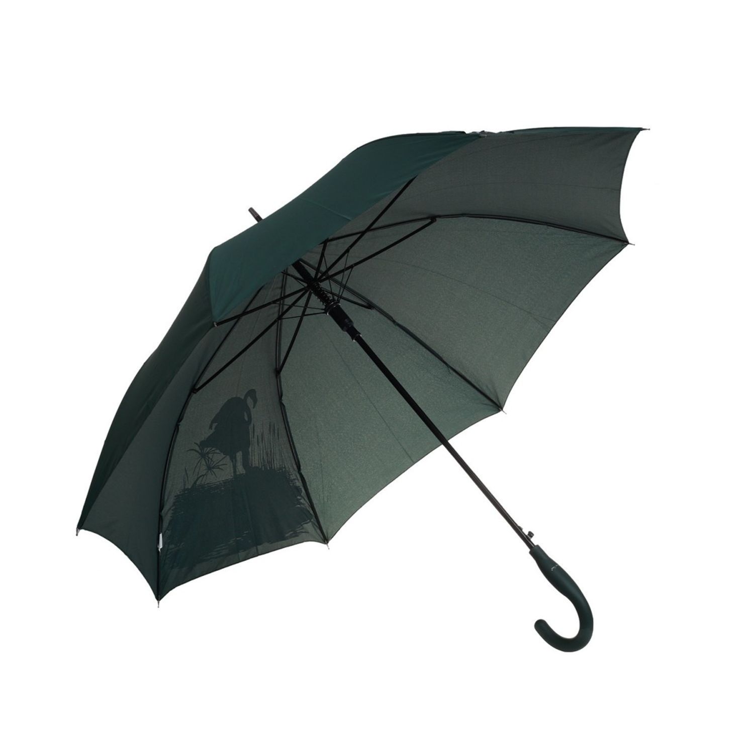 Umbrela lunga automata color changing  PAMI, U-S621-350, 60 cm, 8 spite Verde fotografia produsului View 5 L
