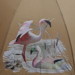 Umbrela lunga automata color changing  PAMI, U-S621-350, 60 cm, 8 spite Galben fotografia produsului View 4 S