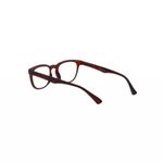 Ochelari de citit PAMI, OC1220-33 +1.00 Maro fotografia produsului View 5 S