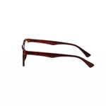 Ochelari de citit PAMI, OC1220-33 +3.00 Maro fotografia produsului View 5 S