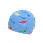 Fes pentru baieti, PAMI, CBA-1021-313, 50-52 cm Bleu fotografia produsului View 3 S