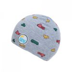 Fes pentru baieti, PAMI, CBA-1021-307, 42-44 cm Gri fotografia produsului View 3 S