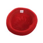 Palarie eleganta pentru fetite, Pami, PC-1022-01 Rosu fotografia produsului View 4 S