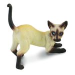 Pisica siameza - Collecta fotografia produsului