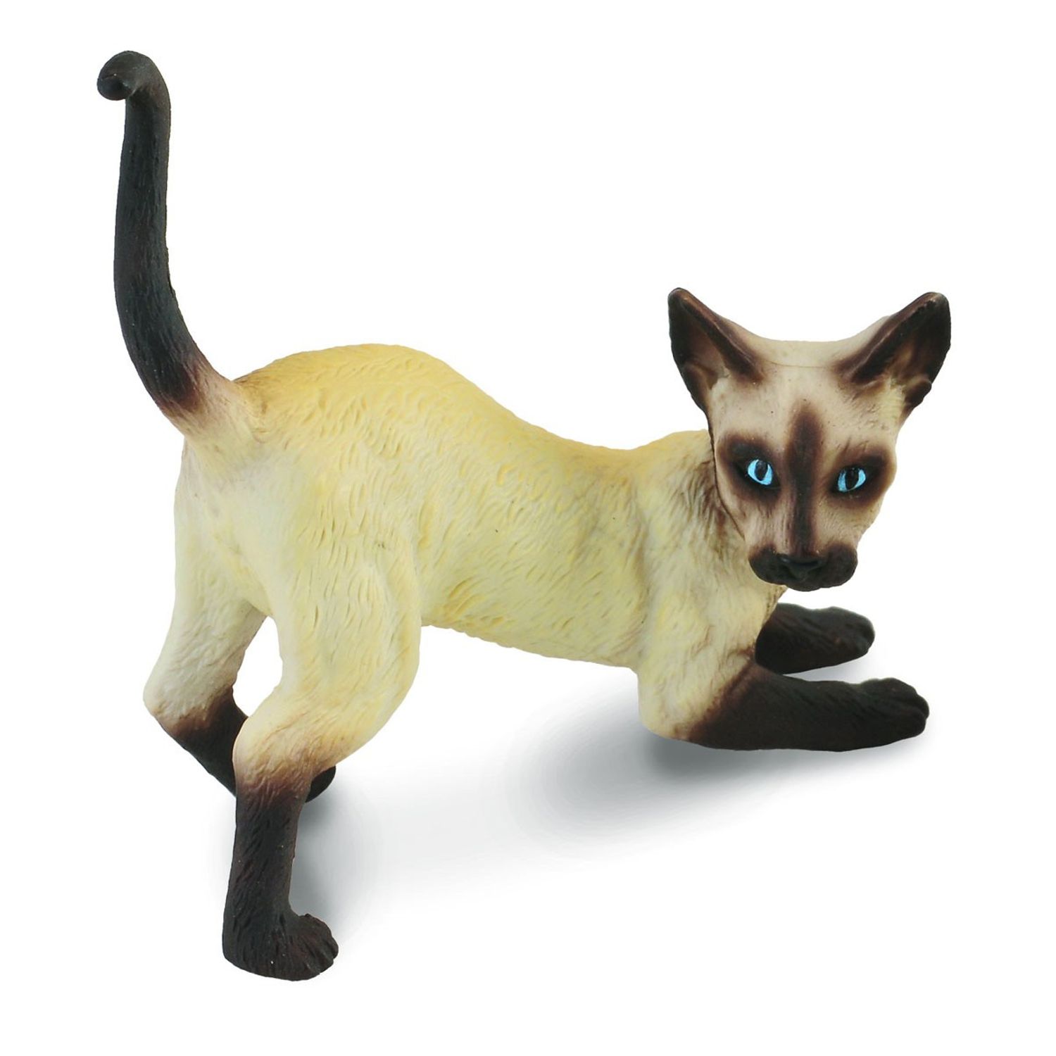 Pisica siameza - Collecta fotografia produsului