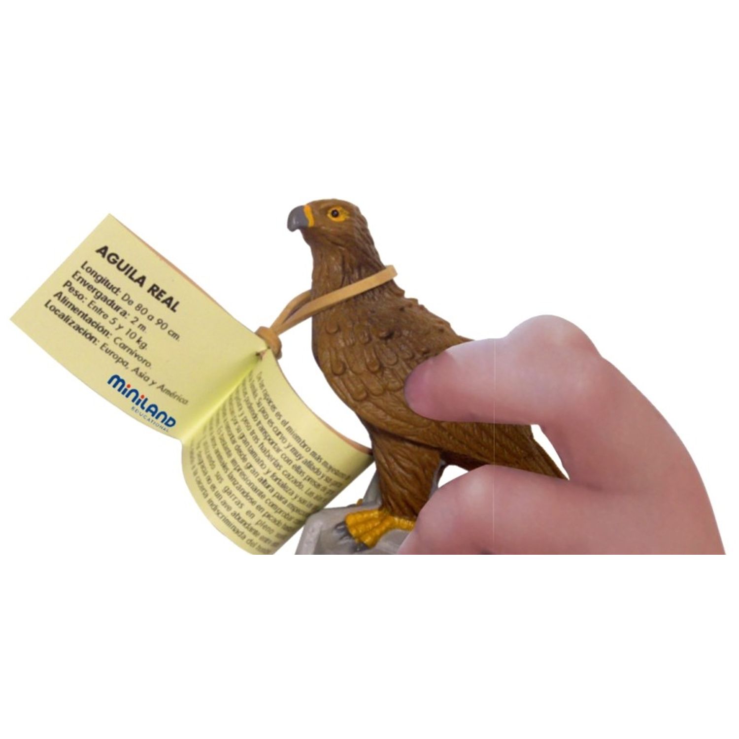 Animale din padure Miniland 8 figurine fotografia produsului View 2 L