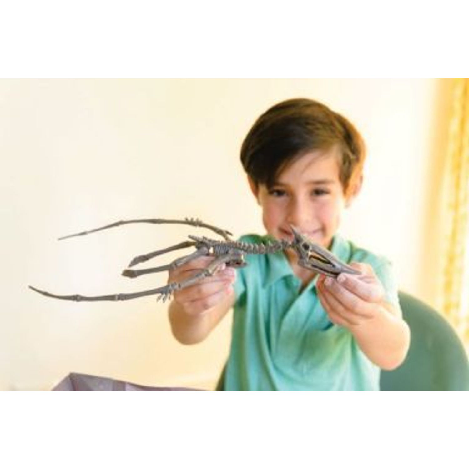 Set educativ Sapa si descopera Dinozauri - Pteranodon fotografia produsului View 4 L