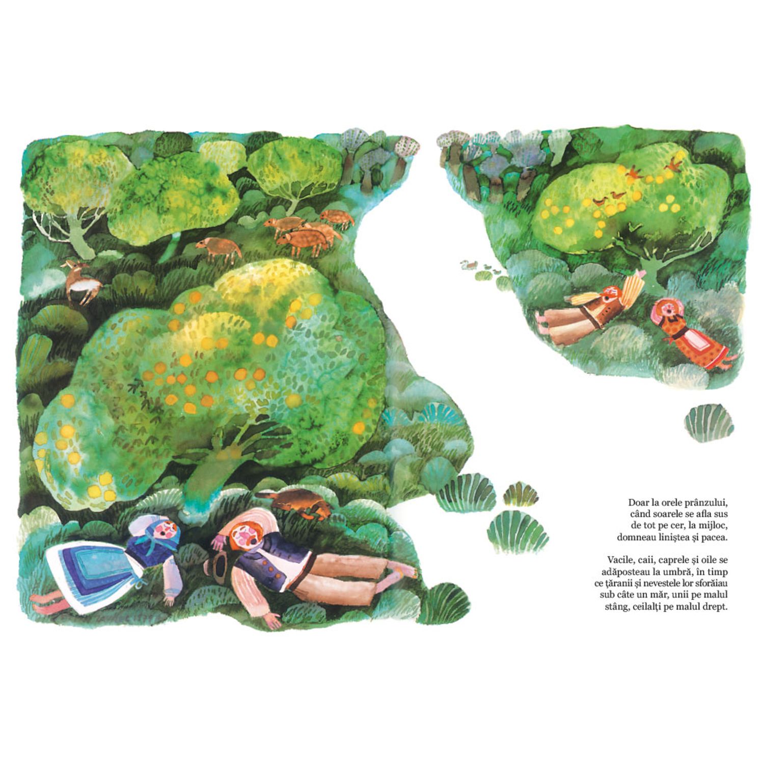 Podul copiilor - de Max Bolliger, ilustratii de Stepan Zavrel fotografia produsului View 6 L