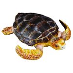 Broasca testoasa - Collecta fotografia produsului