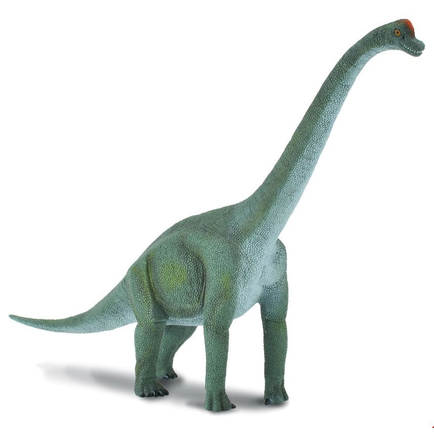 Figurina Brachiosaurus Collecta fotografia produsului