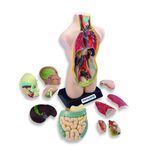 f4c4ae3a-8cd7-4669-9838-fbf9e06a90f8 фото продукта View 2 S