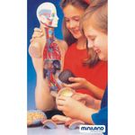 f4c4ae3a-8cd7-4669-9838-fbf9e06a90f8 фото продукта View 4 S