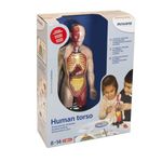 Kit educational mulaj Corpul uman si sistemul digestiv fotografia produsului View 2 S