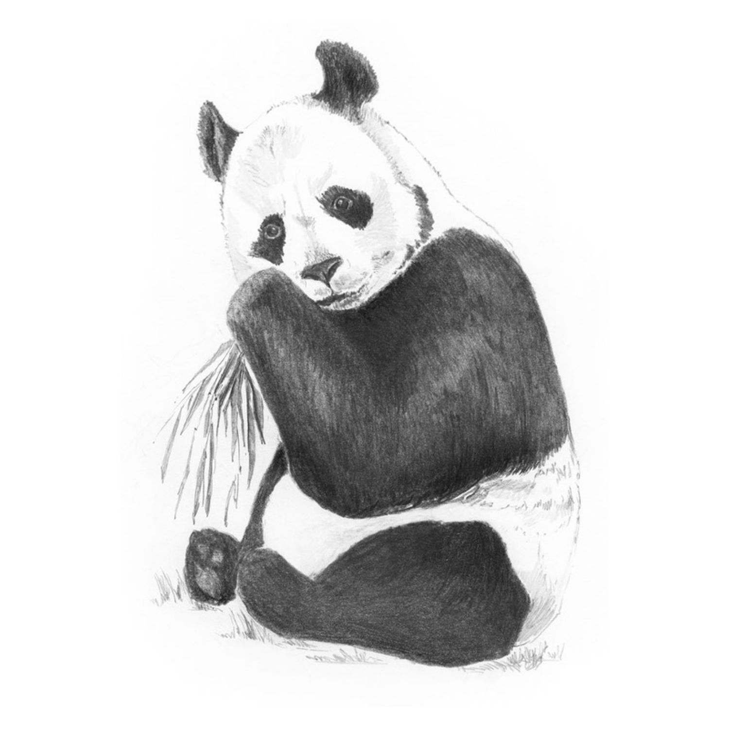 Crochiu incepatori-Panda 13x18 cm fotografia produsului