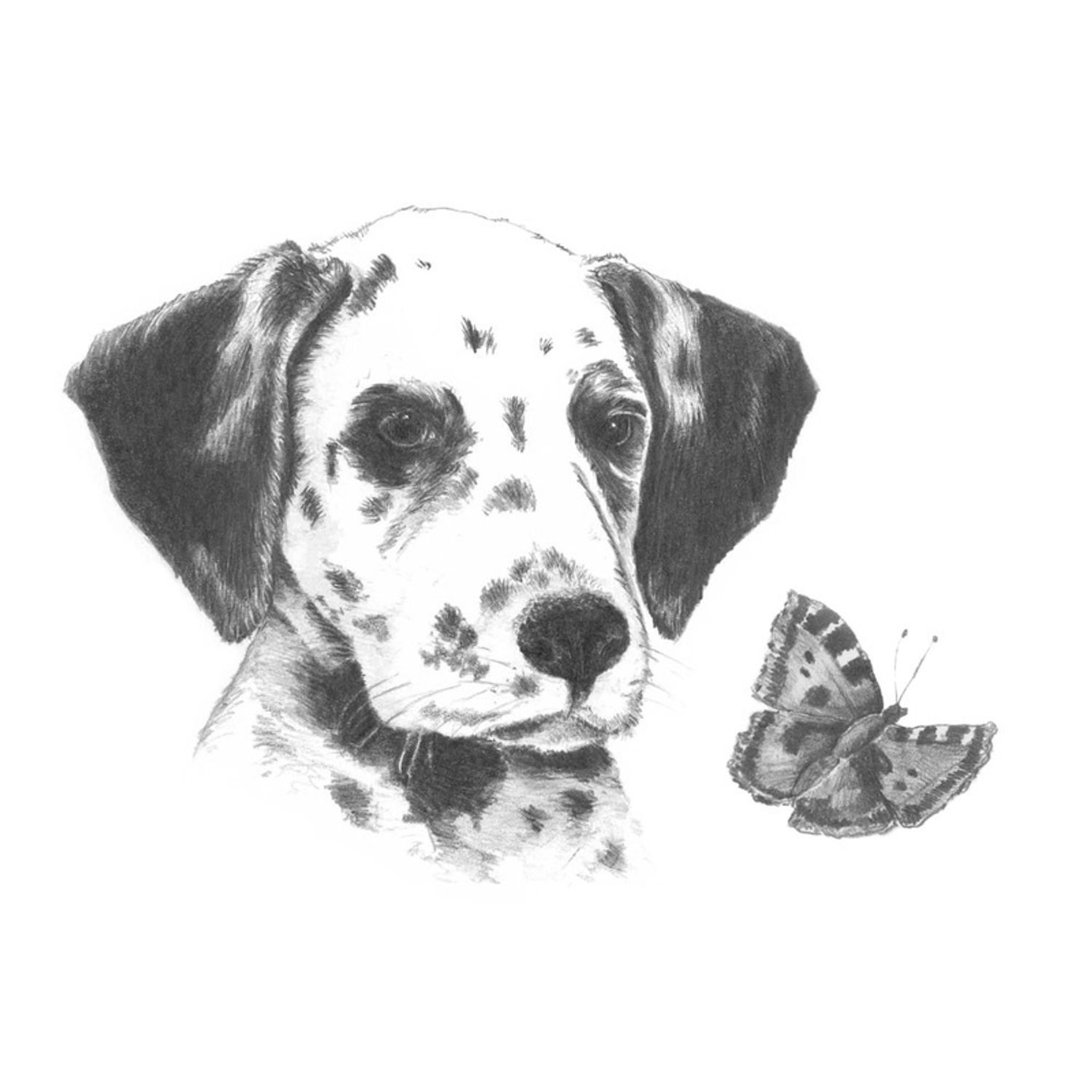 Crochiu incepatori-Dalmatian 13x18 cm fotografia produsului
