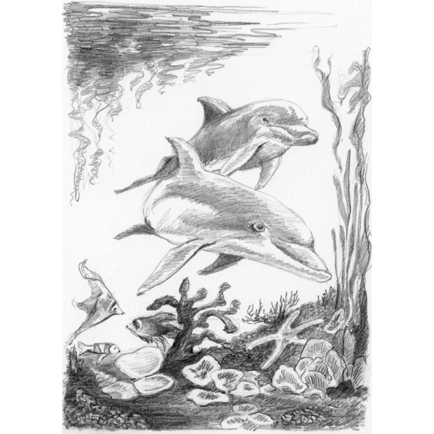 Schita creion incepatori-Delfini fotografia produsului