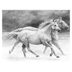 Crochiu incepatori-Cai liberi 22x29 cm fotografia produsului