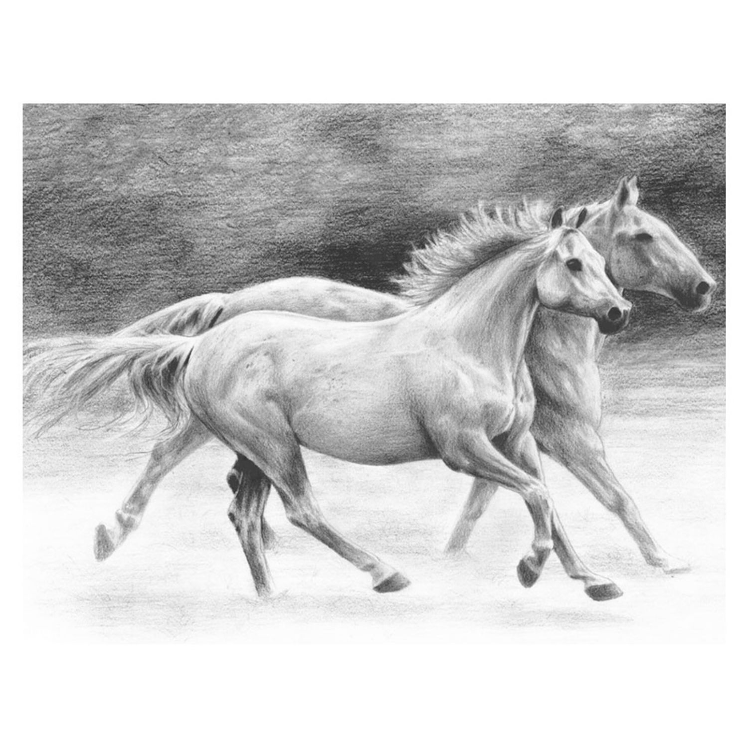 Crochiu incepatori-Cai liberi 22x29 cm fotografia produsului