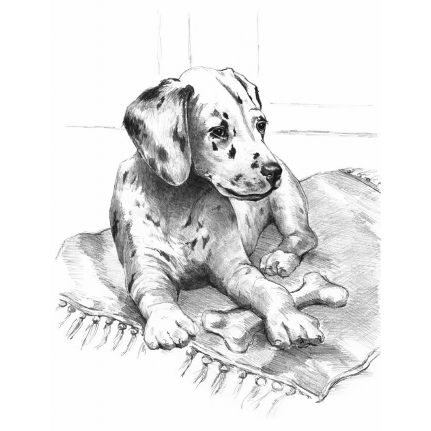 Schita creion incepatori Dalmatian fotografia produsului