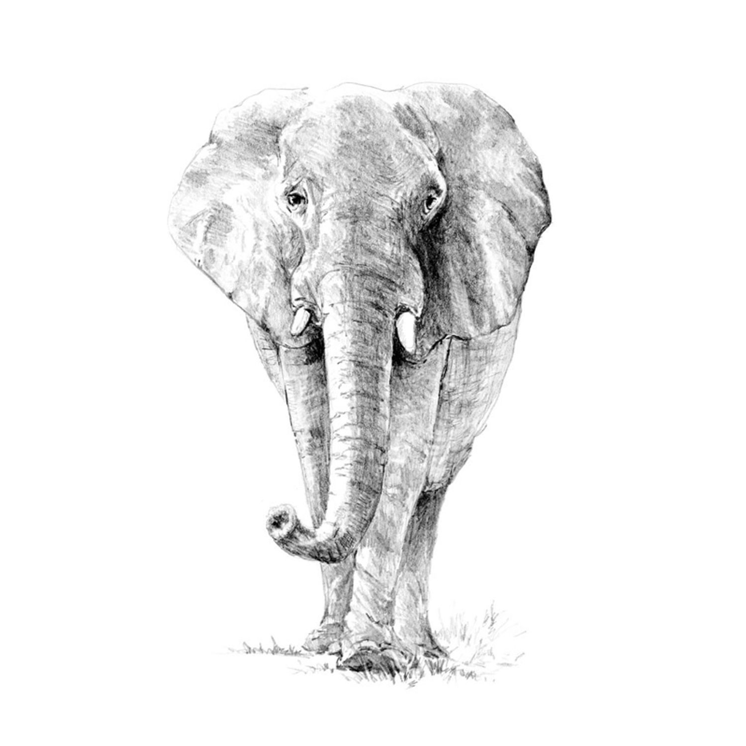 Crochiu incepatori-Elefant 22x29 cm fotografia produsului