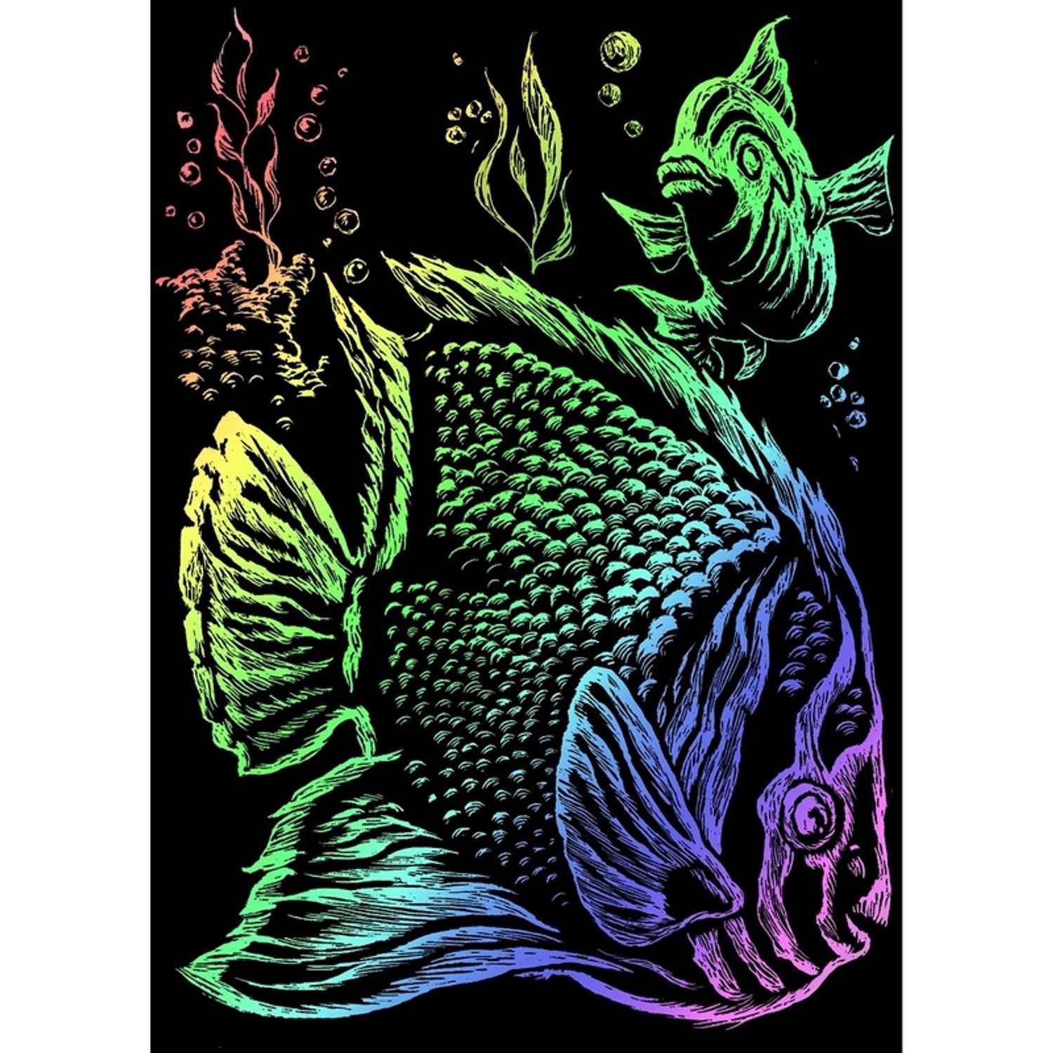 Mini gravura pe folie curcubeu - Pesti tropicali fotografia produsului