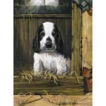 Prima mea pictura pe numere junior mica - Catel fotografia produsului